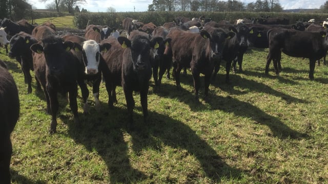 Pay for ICBF top 10 staff averaged €93,000 last year