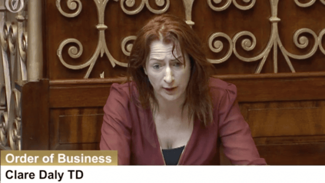 TD Clare Daly calls for outright ban on hare coursing
