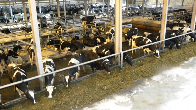 Minister launches booklet at Dairy Forum to help farmers plan cashflow better