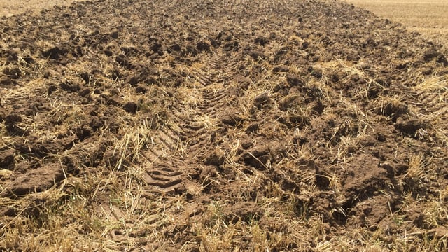 Soil selenium levels set to crash