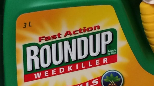 Bayer to agree settlement in Roundup case - reports
