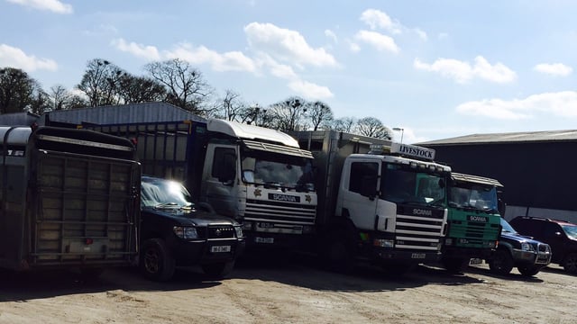 Farmer and haulier fined for transporting an unfit animal