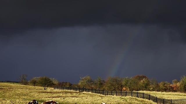Over an inch of rain to fall in parts as Met Eireann issues rain warning