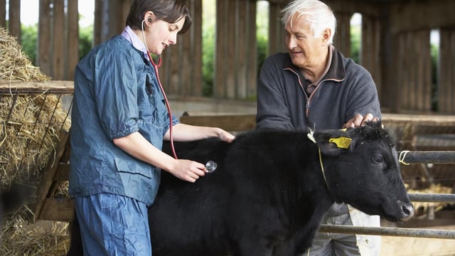 Brexit a key concern as cattle vet conference kicks off in Limerick