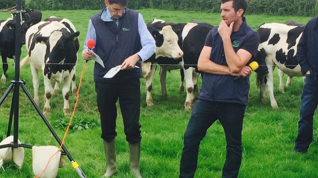How this part-time beef farmer plans €1,800/ha of output to drive profit