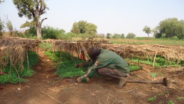 Ireland provides over €20m in assistance to UN world food programme