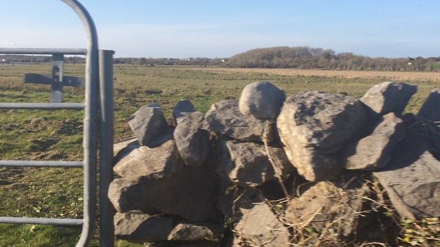 Department remains tight lipped over land eligibility appeals update