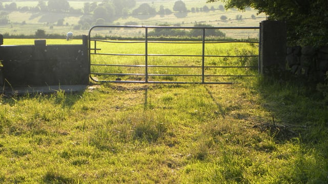 EU-US trade deal 'presents further challenges' to farm families