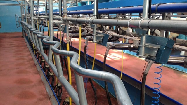 Average Glanbia dairy loan sought exceeds expectations