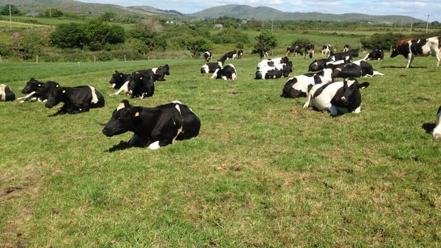 More details due today around EU aid package for farmers