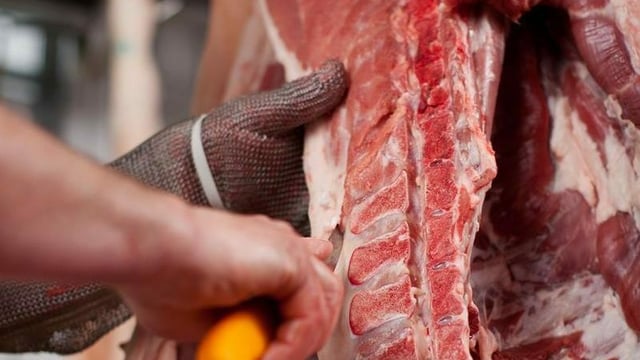 EU beef market being 'sacrificed' for the sake of Mercosur deal
