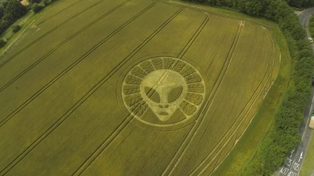 Crop circle of an alien appears in a field of wheat in the UK