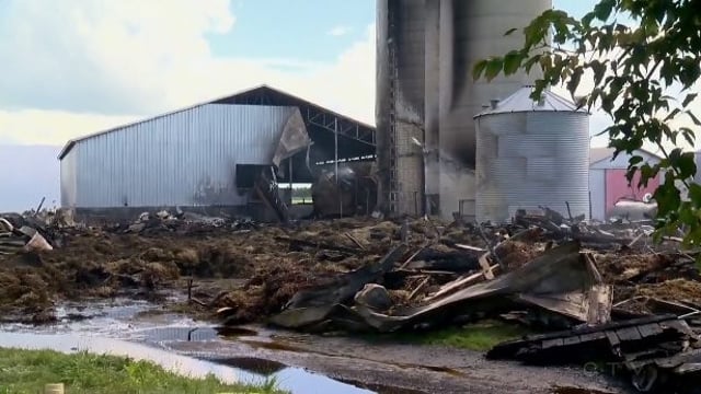 Video: Fire on family-run dairy farm kills 160 cows