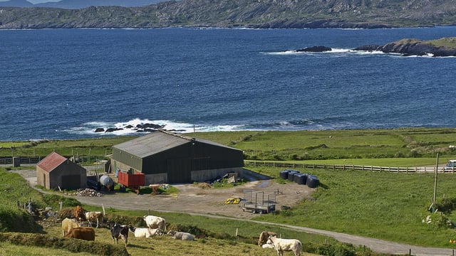 'Substantial' supports sought to assist farmers in making green transition
