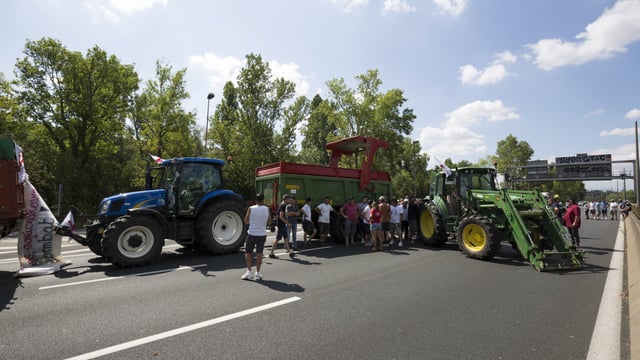 Dairy farmer protests loom in the UK as milk production slumps by over 10%