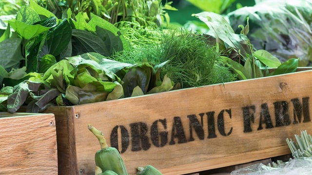 Less than 2% of land used for organic farming in Ireland
