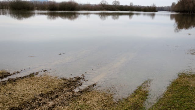 Lough Funshinagh: Property at risk but 'questions need to be asked of the council' - FIE