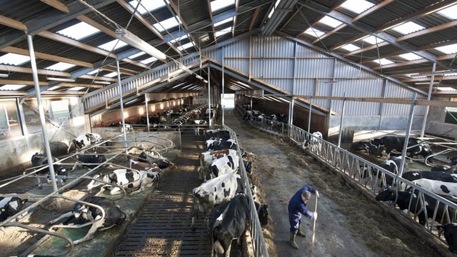 Macra urges young farmers to make farm safety a priority