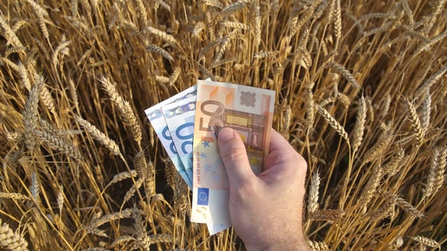 More details on low-cost loan scheme expected this week