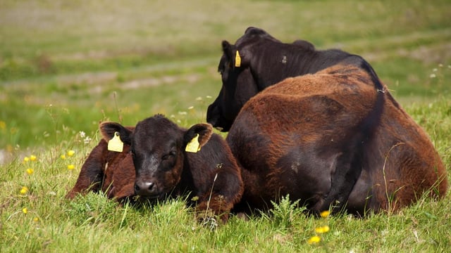 Smart Farming: Farmers encouraged to 'ensure long-term sustainability'