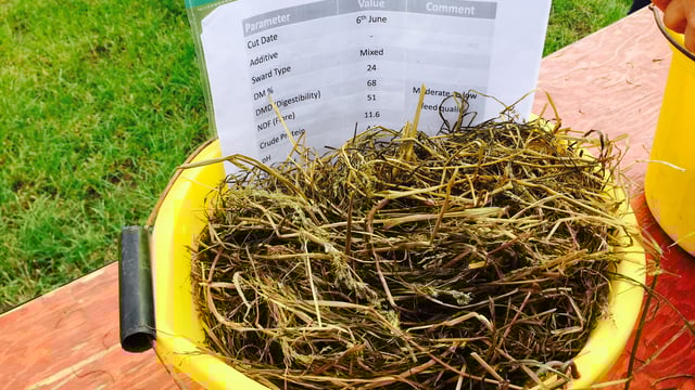 Silage quality shock on the cards for farmers