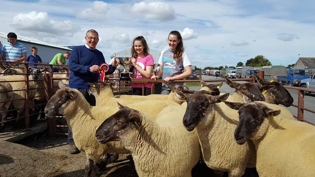 Ewe lambs sell to €159 in special breeding sales