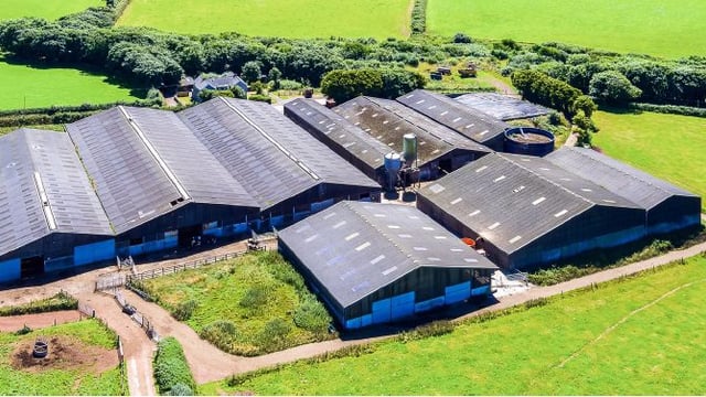 Demand for land in the UK falls sharply in wake of Brexit