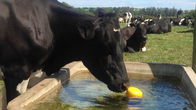 'Increased milk prices a sign processors fear farmers will cut back supplies'