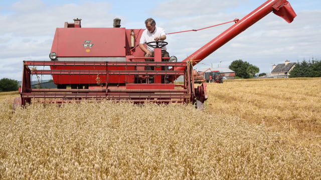 See machinery from the 1940s put through its paces at the Autumn Harvest Extravaganza
