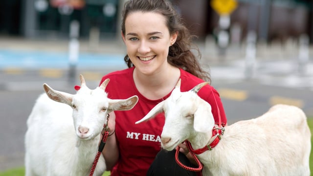 1,500 animals to fly from Shannon to Rwanda on Bothar's 25th anniversary