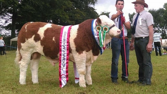 70th annual Tullow Show to take place this weekend