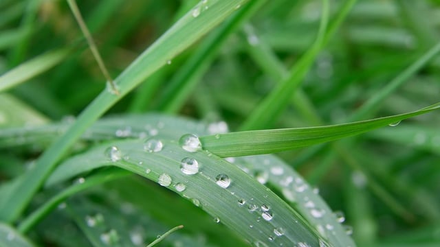 2 more counties included in today's rainfall warnings