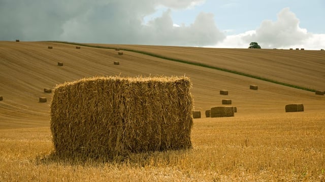 What is the fertiliser value of straw?
