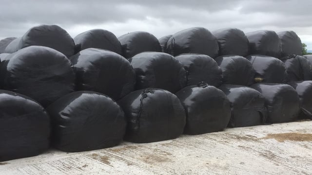 TD expects 'at least 70,000' farmers need fodder support