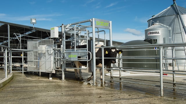 New Zealand’s LIC Automation to launch automated heat detection system