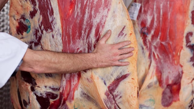 Beef carcass price in January '25 up 18% compared to '24