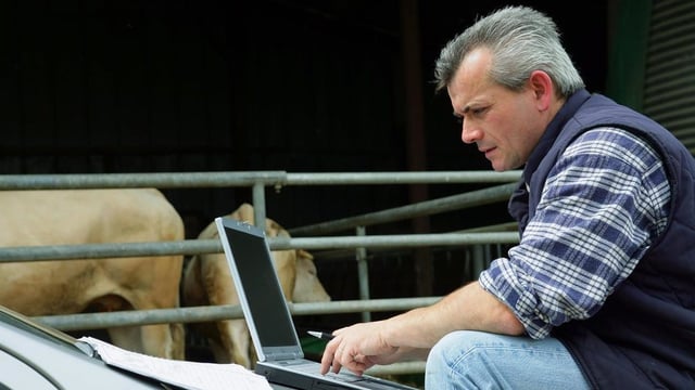 Farm safety 'priority' in new Knowledge Transfer Programme