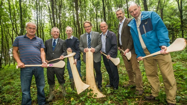 Harvesting of hurley butts starts in Johnstown Castle