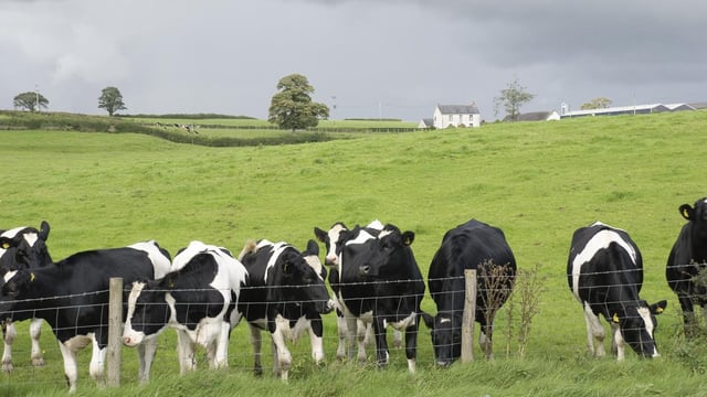 'Renewed focus' to criticise Irish agriculture slammed by Fitzmaurice
