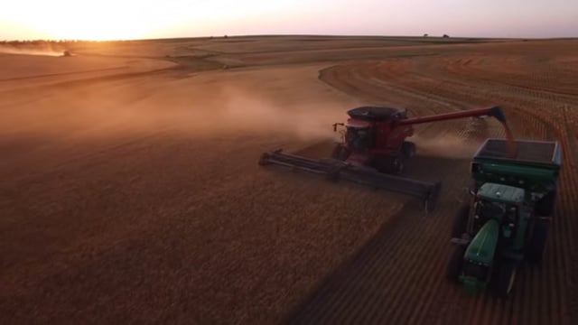 Video: Great footage of over 2,000ac of wheat being harvested in the US