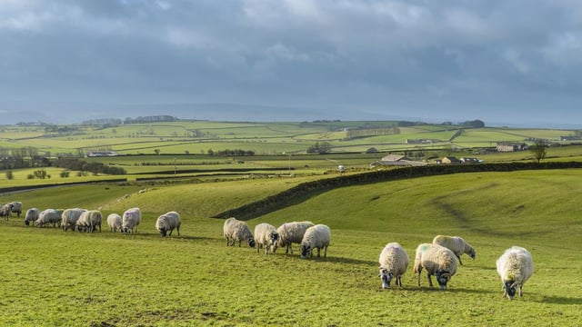 Met Éireann: Mainly dry week in store with showers in west