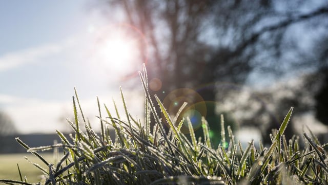 Mixed bag of weather in store this week with rain, sunny spells and frost