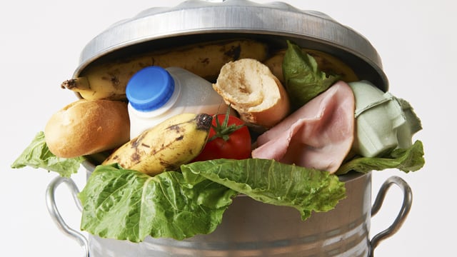 Coordination at EU Commission level is 'lacking' when it comes to food waste