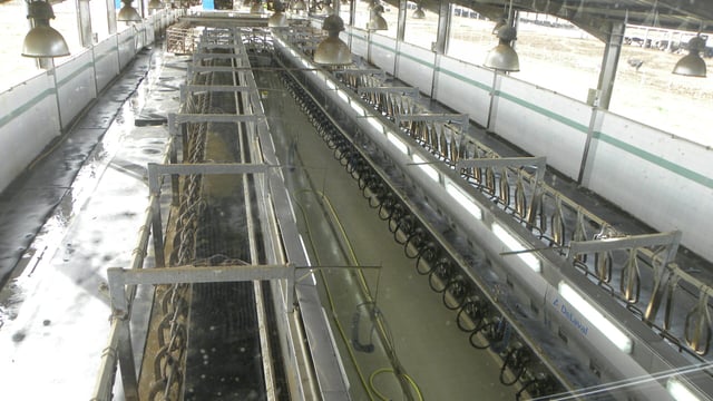 Dairy wholesale prices rise 20% annually; fruit and veg costs decline