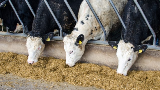 Farmers have just days left to secure December Genomics payments