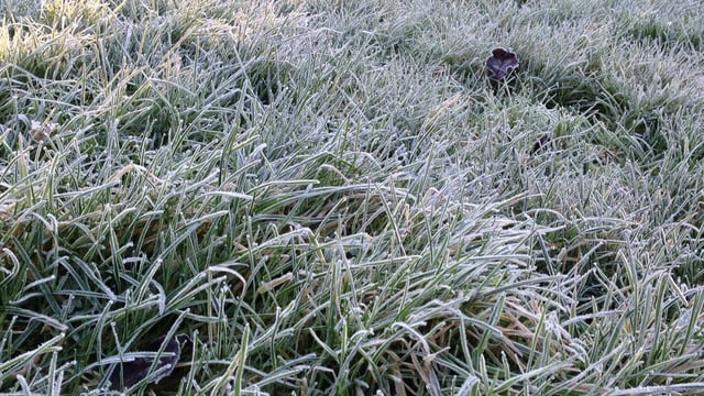 Weather to turn cold with frost and ice this week