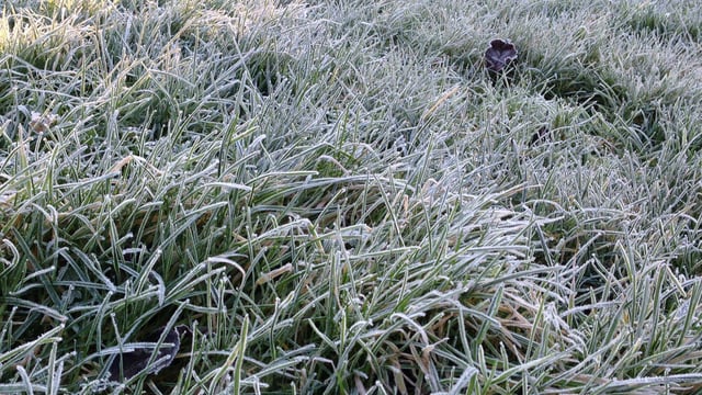 Low temperature warning issued as values set to drop to -4º overnight