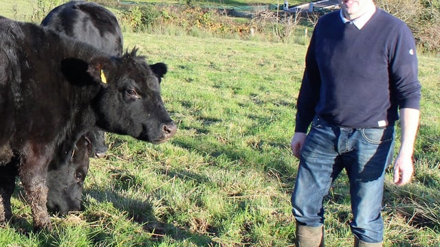 Ireland to co-host the World Angus Forum next year