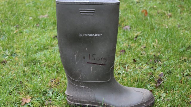 Grass output averages 13.8t DM/ha for 2016