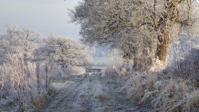 Temperatures set to fall to -4, with severe frost in store this weekend